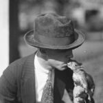 When Squirrels Were One of America’s Most Popular Pets