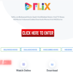 9xFlix – Stream Bollywood & Hollywood Latest Movies On 9xFlix For Free